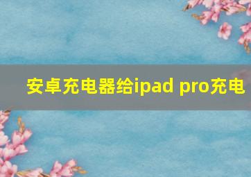 安卓充电器给ipad pro充电